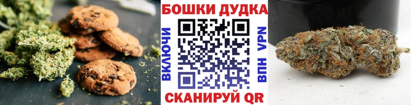 как найти   Мурино  Cannafood конопля 
