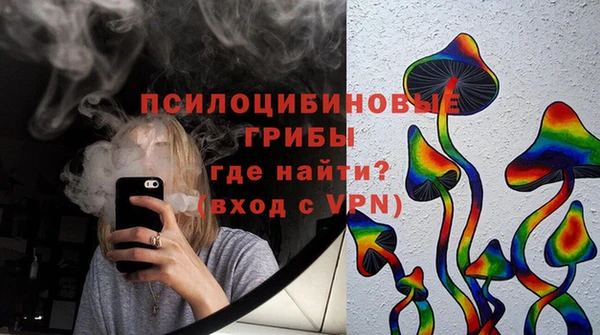 сатива Богородск