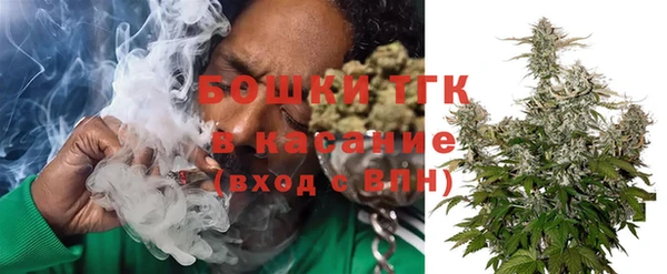 сатива Богородск