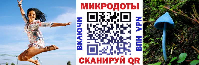 Галлюциногенные грибы Psilocybine cubensis  цены   Мурино 
